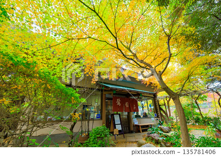 東京台東區上野公園的秋葉 東京台東區上野公園的秋葉 135781406
