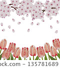 [Cherry Blossom and Tulip Frame] Hand-embroidered illustration material 135781689