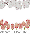 [Cherry Blossom and Tulip Frame] Hand-embroidered illustration material 135781690