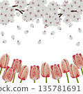 [Cherry Blossom and Tulip Frame] Hand-embroidered illustration material 135781691