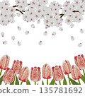 [Cherry Blossom and Tulip Frame] Hand-embroidered illustration material 135781692