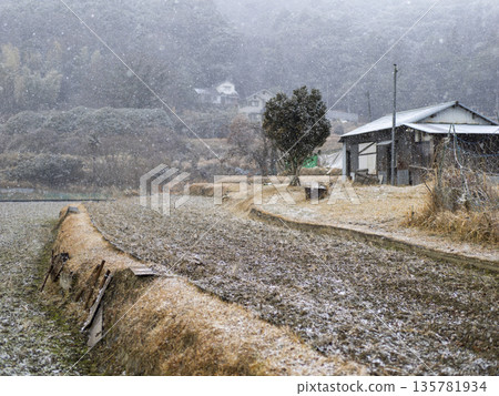 Snowy winter rural landscape Snowy winter rural landscape 135781934
