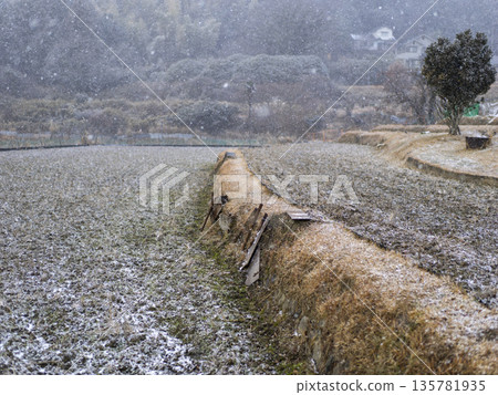 白雪皚皚的冬日鄉村景色 135781935