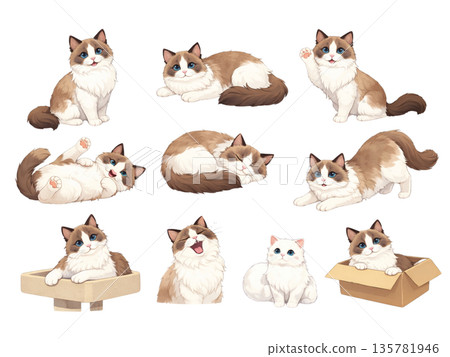 Illustration set of cats in various poses Illustration set of cats in various poses 135781946