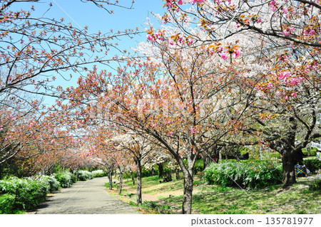 Spring at Toda River Green Space 135781977