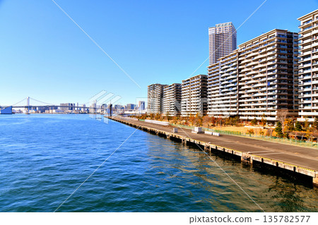 從豐洲橋（東京中央區）眺望晴海旗和彩虹橋 [2026年1月] 135782577