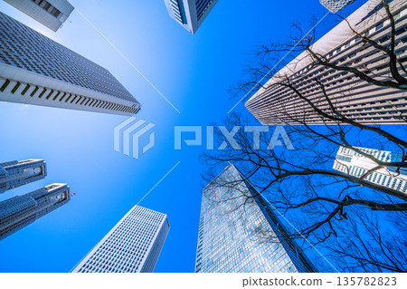 日本東京城市景觀，可以看到東京都廳大樓和新宿的摩天大樓（2026年1月25日） 135782823