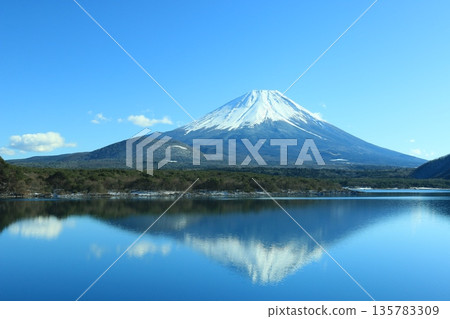 Lake Motosu and Mt. Fuji 135783309