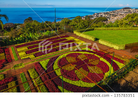 Botanical Garden of Funchal with various flowers and flower beds Botanical Garden of Funchal with various flowers and flower beds 135783351