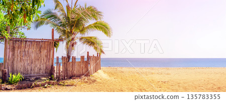 Picturesque beach landscape with palm tree and reed fence copy space for advertising. The concept of a tropical vacation, a panorama with sea and sand in the daytime. High quality photo 135783355