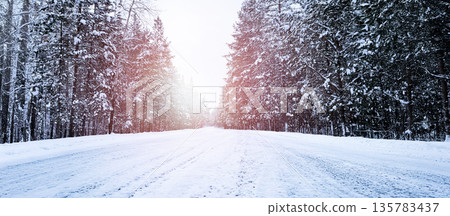 Beautiful snowy country road in winter 135783437