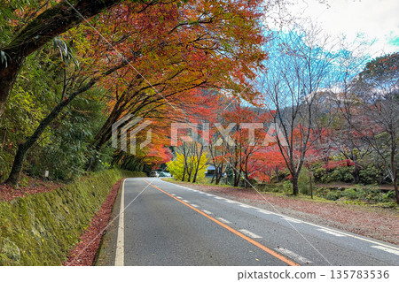 Autumn leaves tunnel Fukayabakei Hisashi Momiji Autumn leaves tunnel Fukayabakei Hisashi Momiji 135783536