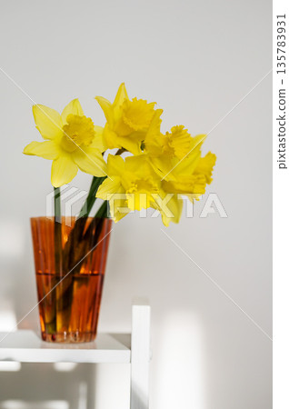 Spring floral background. Yellow fresh Daffodils in orange glass vase, over white background with copy space. Easter abstract mockup 135783931