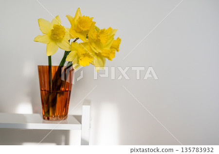 Spring floral background. Yellow fresh Daffodils in orange glass vase, over white background with copy space. Easter abstract mockup 135783932