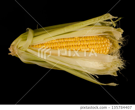 a swing of young corn in husks, on a black background in isolation 135784407