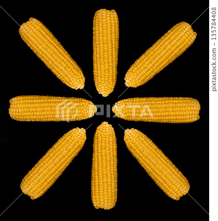 Heads of ripe corn, peeled from husk, folded in the form of a circle, on a black background, isolated Heads of ripe corn, peeled from husk, folded in the form of a circle, on a black background, isolated 135784408