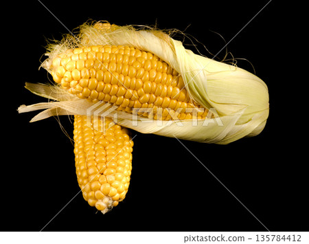 Two roach of young corn, one peeled and one in husks on a black background in isolation Two roach of young corn, one peeled and one in husks on a black background in isolation 135784412