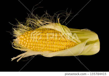 a swing of young corn, half peeled from the husk on a black background isolated 135784415