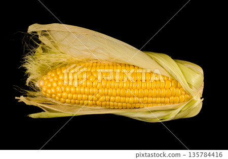 a swing of young corn, half peeled from the husk on a black background isolated 135784416