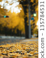 秋色斑斕的道路和落葉 135784531