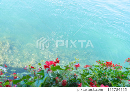 Clear turquoise water with red flowers in the foreground. Minimalistic natural background with calm mood. Concept of nature, serenity, summer and relaxation 135784535