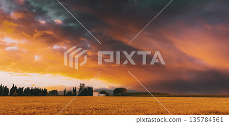 Summer Evening Sky Above Spanish Countryside Rural Wheat Field Landscape. Yellow Wheat At Sunset Time Summer Evening Sky Above Spanish Countryside Rural Wheat Field Landscape. Yellow Wheat At Sunset Time 135784561