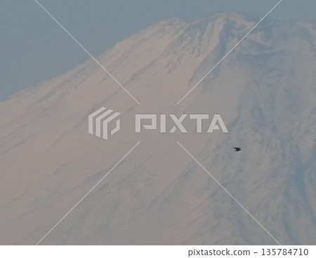 Snow-covered Mount Fuji and a bird flying across it Snow-covered Mount Fuji and a bird flying across it 135784710