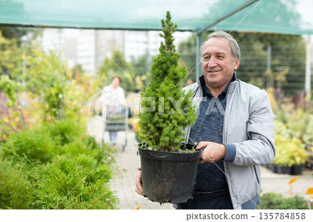 Cheerful elderly man in casual clothes holding pot with Cupressus Goldcrest Wilma during shopping in bazaar 135784858