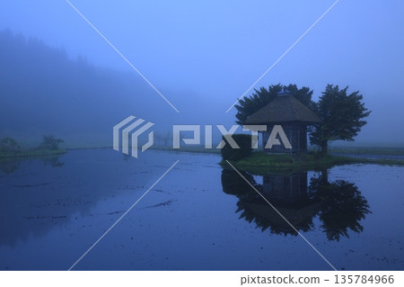 晨曦映照在稻田上 晨曦映照在稻田上 135784966