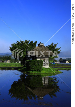 Morning sun reflected in rice paddies Morning sun reflected in rice paddies 135784971