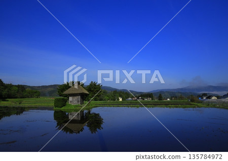 Morning sun reflected in rice paddies Morning sun reflected in rice paddies 135784972