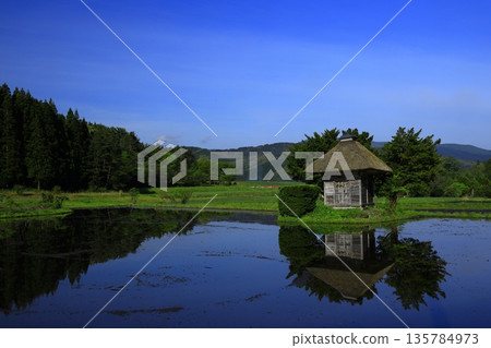 Morning sun reflected in rice paddies Morning sun reflected in rice paddies 135784973