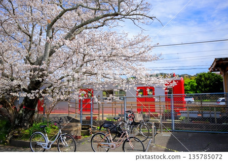 櫻花、火車、糸島市、壹岐山站 135785072