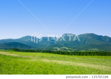 Ku Seitama在夏天 Ku Seitama在夏天 135785106