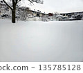 A blanket of white snow after a snowfall in front of houses. 135785128