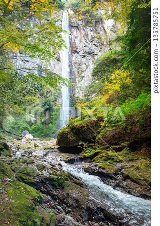 Higashishiiya Falls in autumn Higashishiiya Falls in autumn 135785751