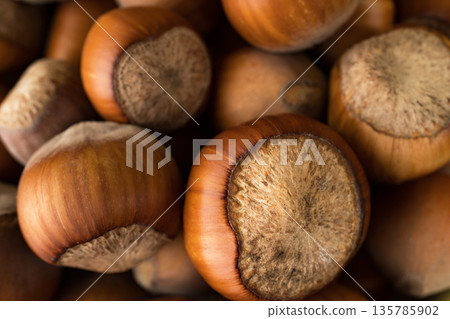 ripe hazelnut fruit in shell, close-up, background image 135785902