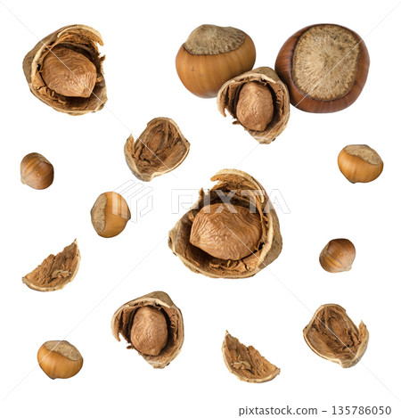 Hazelnut, ripe hazelnut partly separated from the shell and whole in shell, isolated on white background Hazelnut, ripe hazelnut partly separated from the shell and whole in shell, isolated on white background 135786050