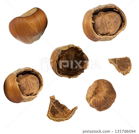 hazelnuts, hazelnut fruits on a white background in isolation, collage hazelnuts, hazelnut fruits on a white background in isolation, collage 135786094