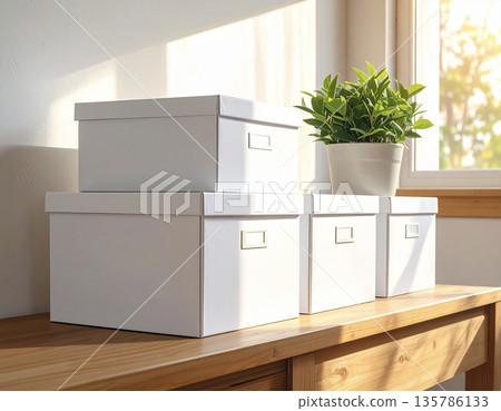 在一個陽光充足的房間裡，白色的收納盒和盆栽植物整齊地擺放在架子上。 135786133