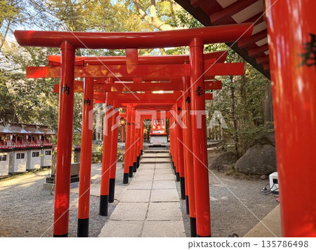 Torii of the shrine Torii of the shrine 135786498