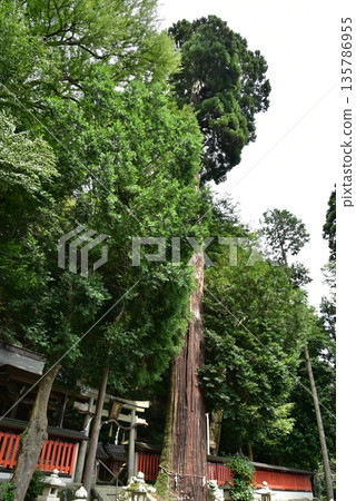 Kanrai Shrine Kanrai Shrine 135786955