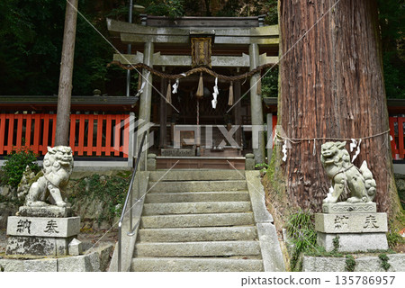關井神社 135786957