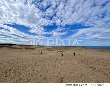 Tottori sand dunes of fine weather Tottori sand dunes of fine weather 135786992