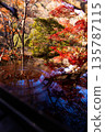 秋葉和森林倒映在水面上 135787115