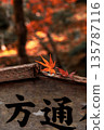 秋葉飄落在寺廟的標誌上 135787116