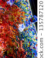 秋葉與玻璃創作的光影藝術 135787120