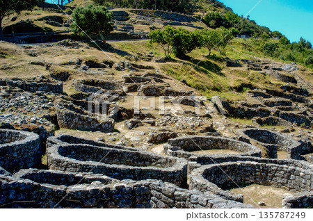A large, empty field with a lot of stone walls 135787249