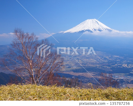 Spring Fuji as seen from Amagatake Spring Fuji as seen from Amagatake 135787256