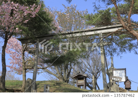 Spring scenery at the summit of Mount Hokyo in Ibaraki Prefecture, decorated with double cherry blossoms in full bloom under a clear blue sky. Spring scenery at the summit of Mount Hokyo in Ibaraki Prefecture, decorated with double cherry blossoms in full bloom under a clear blue sky. 135787462